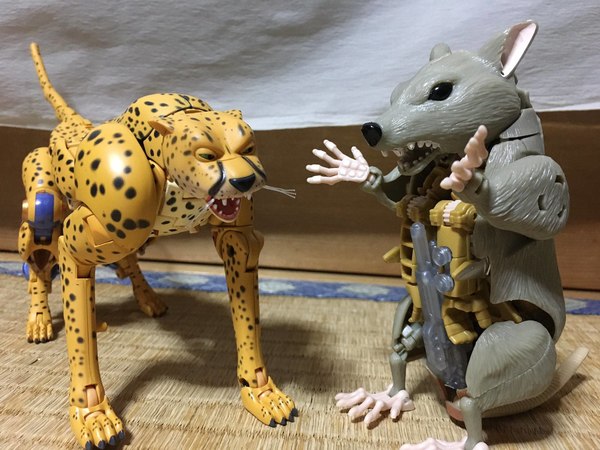 MP 34 Cheetor In Hand Pictures Of Beast Wars Masterpiece Figure 12 (12 of 23)